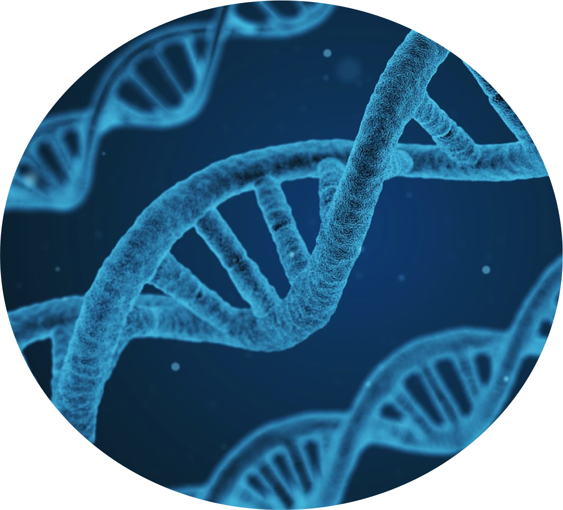 Biology Journal (1104x1001), Png Download