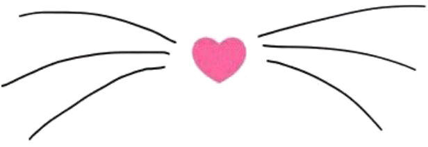 Cat Cats Whiskers Whiskercat Whisker - Cat - Free Transparent PNG ...