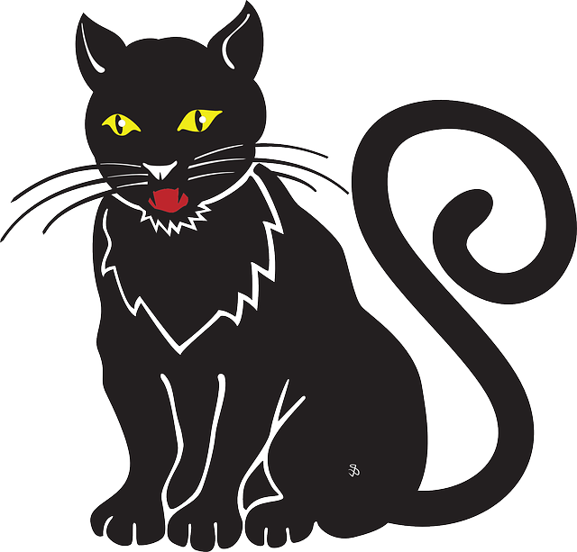 Cat, Halloween, Meow, Whiskers, Hiss, Omen - Black Cat Cartoon Drawing (640x613), Png Download