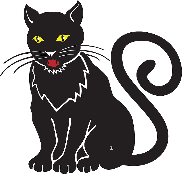 Download Download Cat Halloween Meow Whiskers Hiss Omen Black Cat Cartoon Drawing Png Image With No Background Pngkey Com PSD Mockup Templates