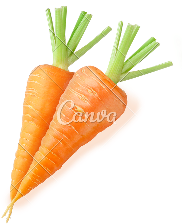 Two Fresh Carrots - Canva (638x800), Png Download