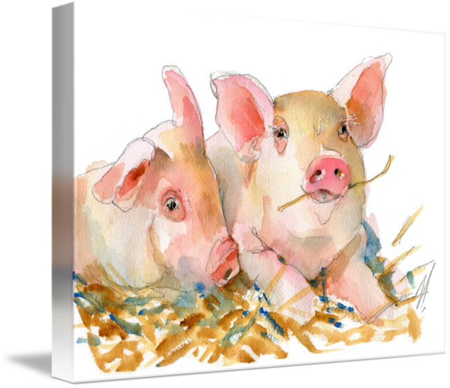 Pig Art - Piglets Watercolor (650x560), Png Download