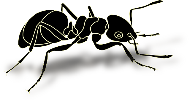 Ant, Insect, Hardworking, Busy - Ant Vector (640x342), Png Download