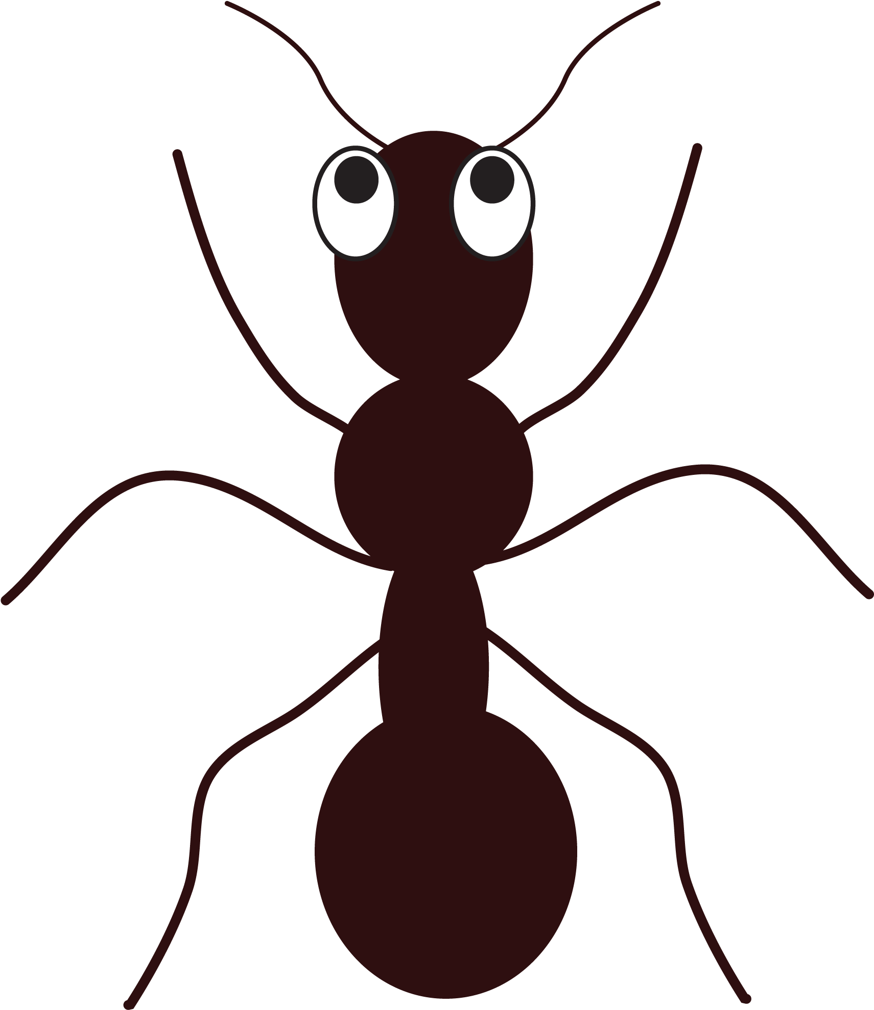 Free Ant Clipart Meum Visualdnsnet 5 - Free Clip Art Ant (1860x2048), Png Download