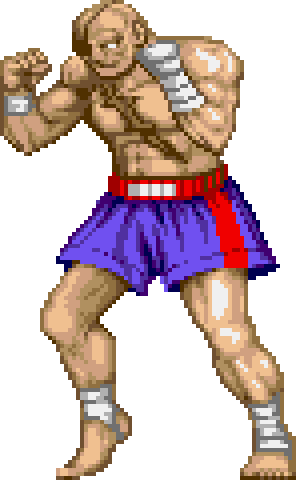 Ryu - Sagat Street Fighter 2 Turbo (296x480), Png Download