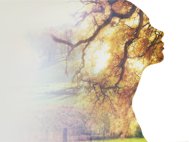 Awakened By Chris Mac 9781523497898 (paperback) (619x465), Png Download