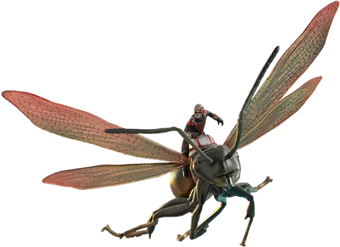 Ant-man On Flying Ant Action Figure - Hot Toys Ant-man On Flying Ant Figure From Ant-man (480x350), Png Download