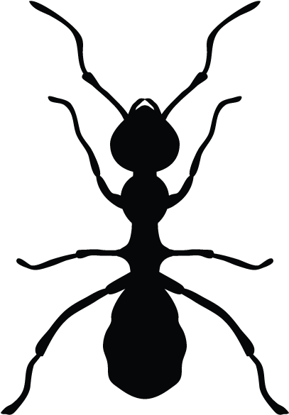 Ants In Minnesota Homes And Offices - Pest Control (600x600), Png Download