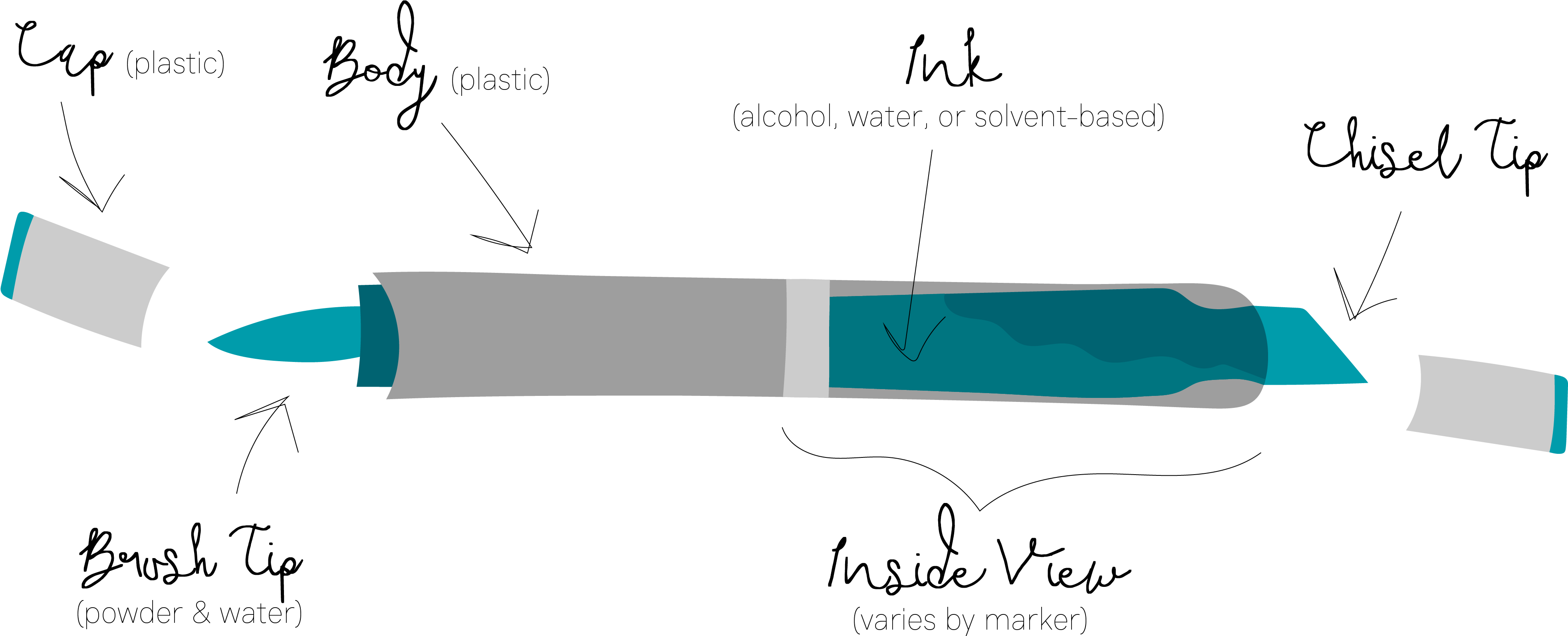 Anatomy Of An Art Marker - Anatomy Of A Marker (4011x1688), Png Download