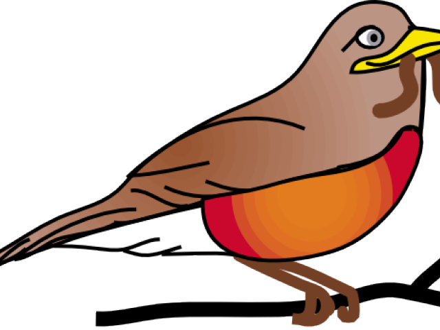 Robin Clip Art (640x480), Png Download