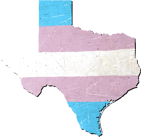 Texas Silhouette Transgender Pride Flag - Texas (500x500), Png Download