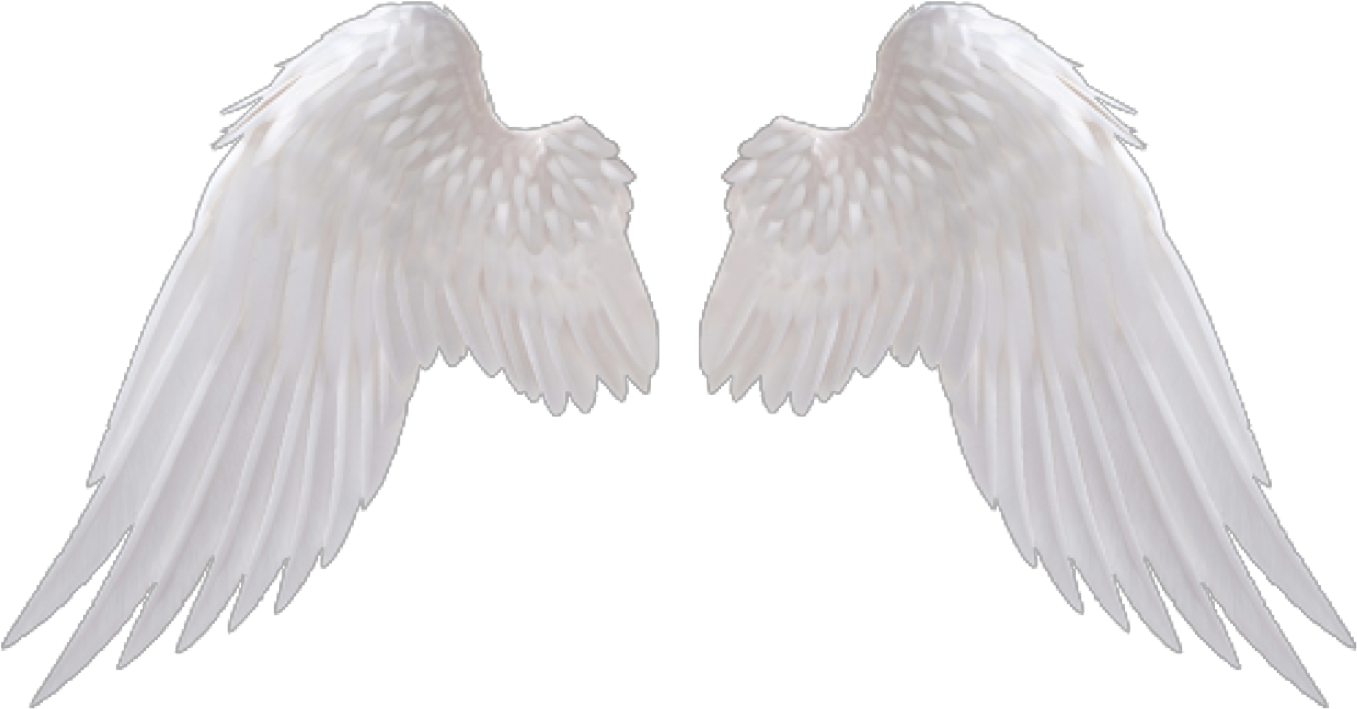 اجنحة Png (2048x1126), Png Download
