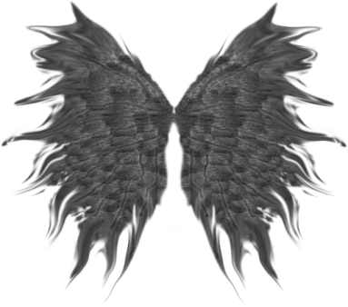 Soft-wings - Portable Network Graphics (383x338), Png Download