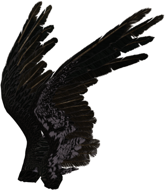 Black Angel Wings Side View (1024x673), Png Download