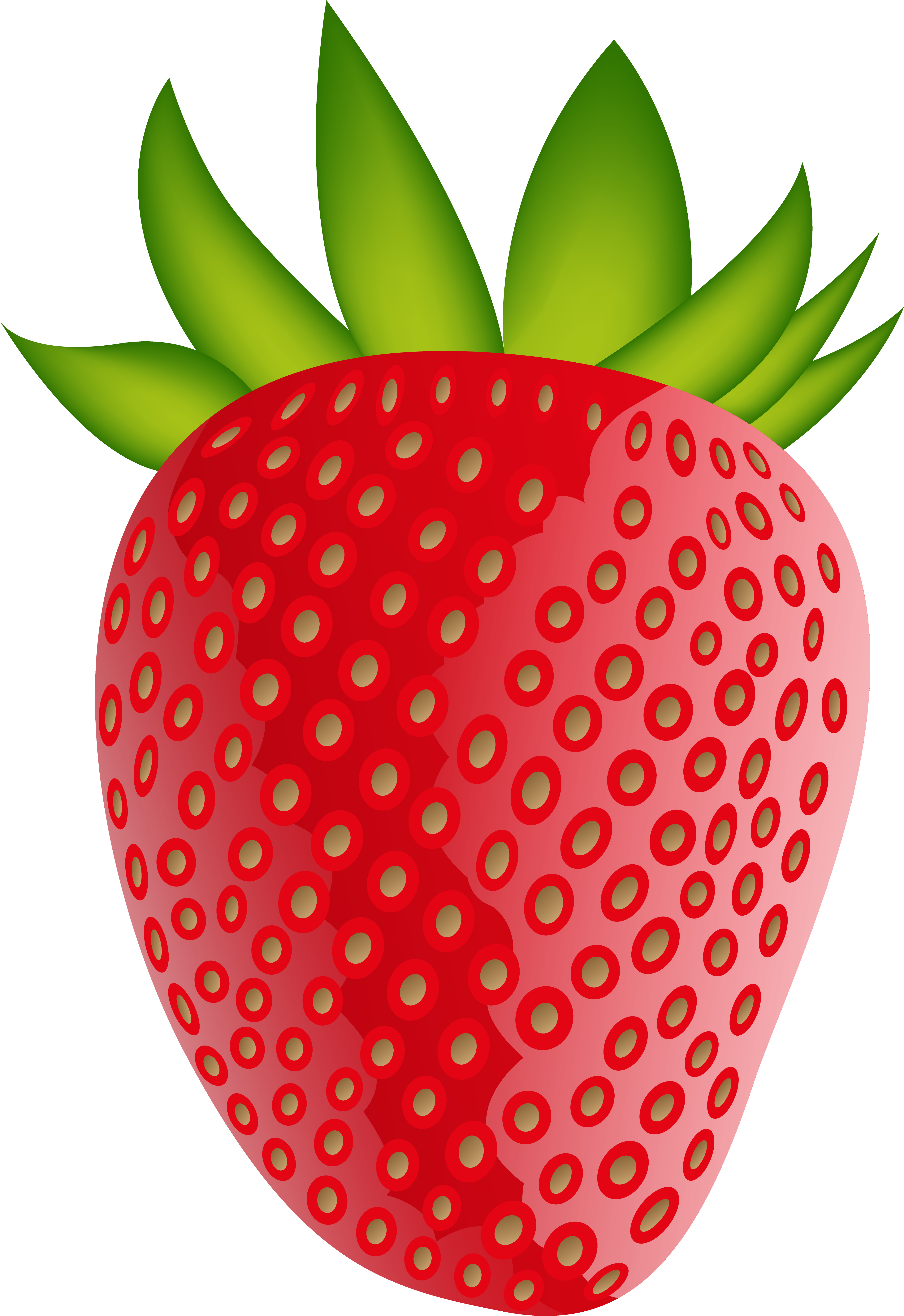 Strawberry Png Clip Artt Image - Strawberry Png (4990x7203), Png Download
