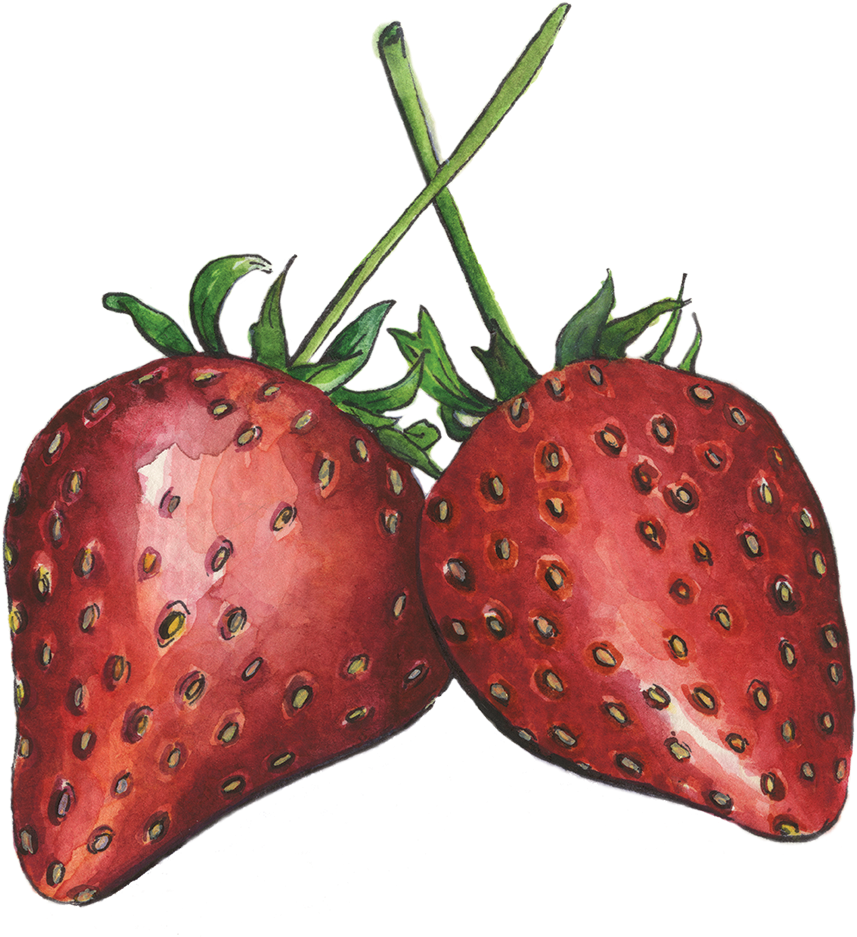 Strawberries - Massachusetts (914x969), Png Download