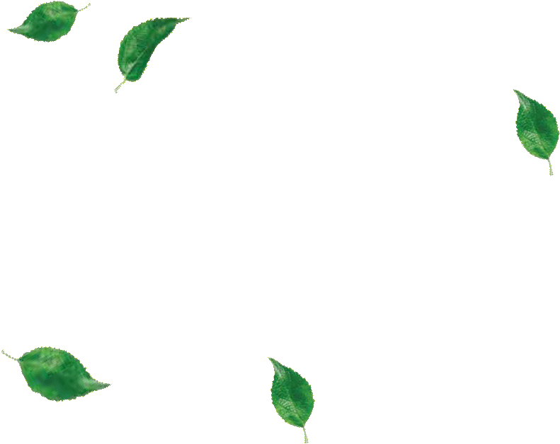 Bg Falling Leaves - Illustration (791x628), Png Download