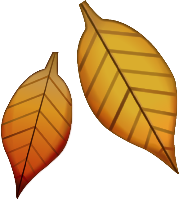 Download Leaf Emoji Image - Fall Leaf Emoji (646x677), Png Download