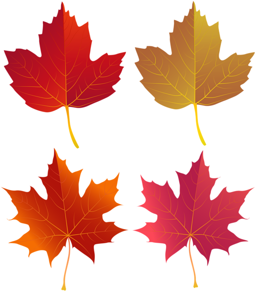 Set Of Autumn Leaves Png Clip Art - Politics Of War By Jean-christophe Boucher (529x600), Png Download
