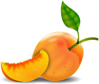 Peach Damascus Peach Tree Fruit Fruits Orc - Durazno Dibujo Png (386x340), Png Download