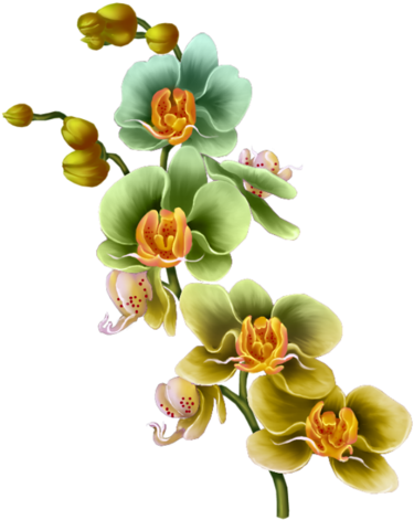 Bibi-asian Sweetheart Elem - Artificial Flower (418x500), Png Download