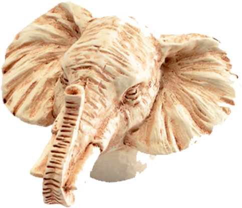 Elephant Head Cabinet Knob - Siro Designs Inc 1.75' Eleph Head Knob Sd100-140 Cabinet (500x500), Png Download
