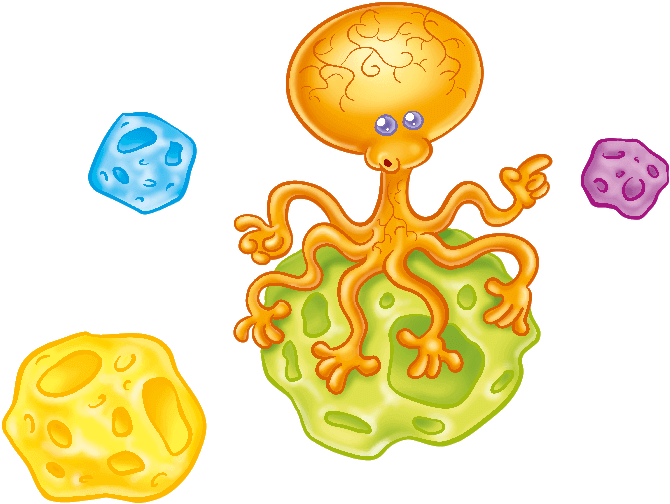 Wall Decal (700x700), Png Download