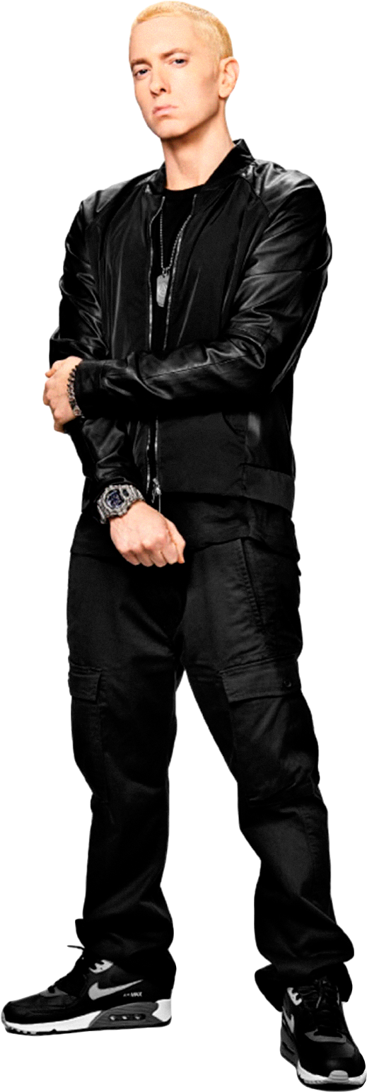 Eminem Png Pic Background - Dean Ambrose Shield 2017 (552x1600), Png Download