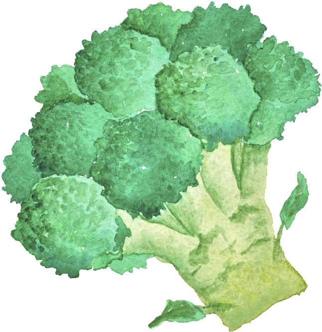 Green Hand Painted Broccoli Cartoon Vegetable Kitchen - Broccoli (1024x1024), Png Download