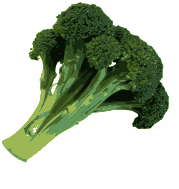 Broccoli .png (567x800), Png Download