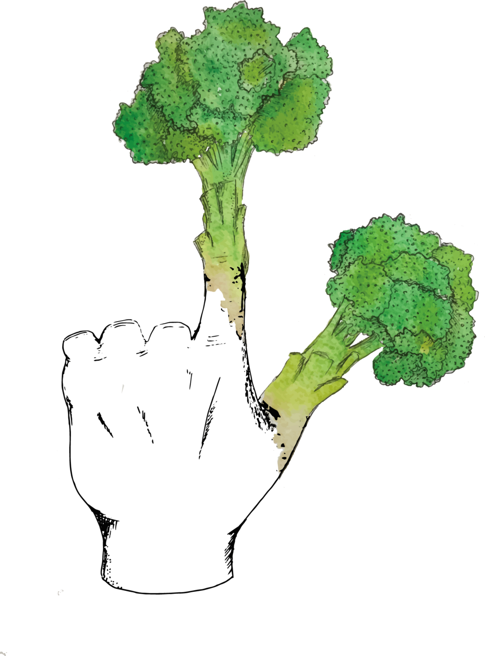 Download Broccoli Fingers PNG Image with No Background
