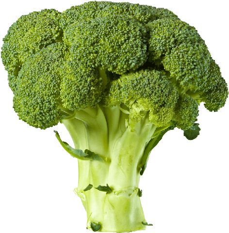 Vegetables - Broccoli Transparent (511x526), Png Download