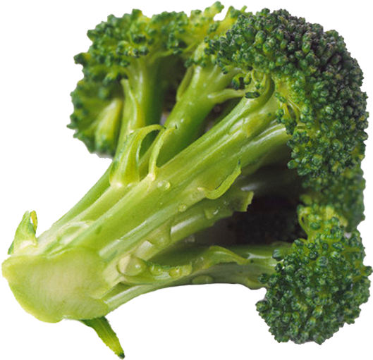 044-brocoli - Vegetal Que Parece Arvore (600x607), Png Download