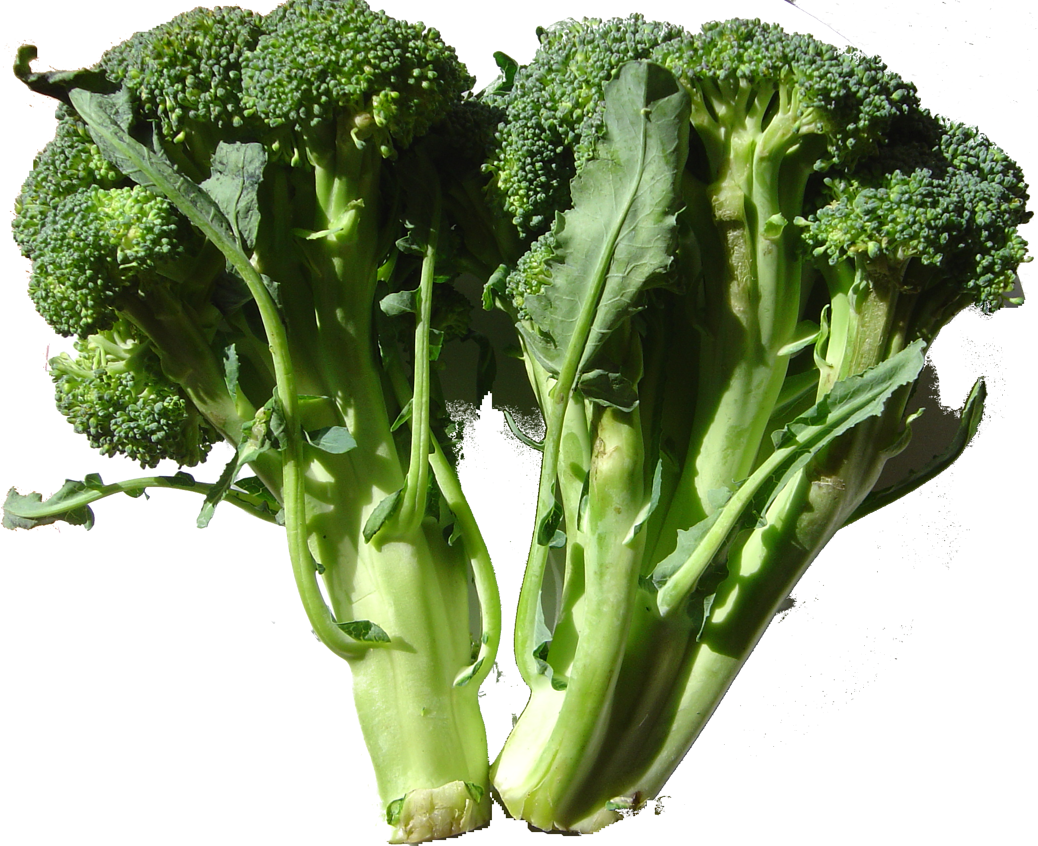 Broccoli Dsc00861 - Vegetables Have Calcium (2091x1704), Png Download