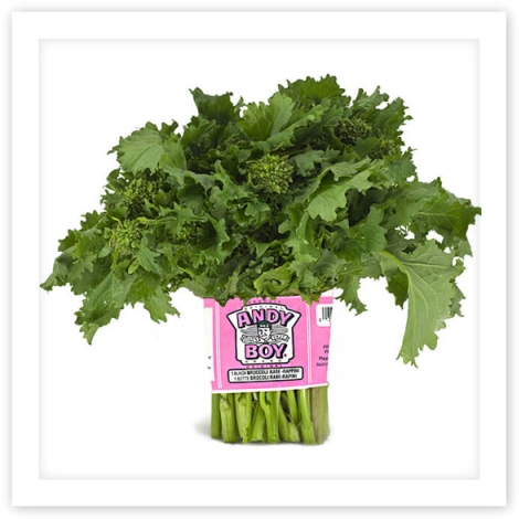 You Are Here - Rapini (480x480), Png Download