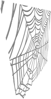 Spiderweb - Spider Web (420x420), Png Download