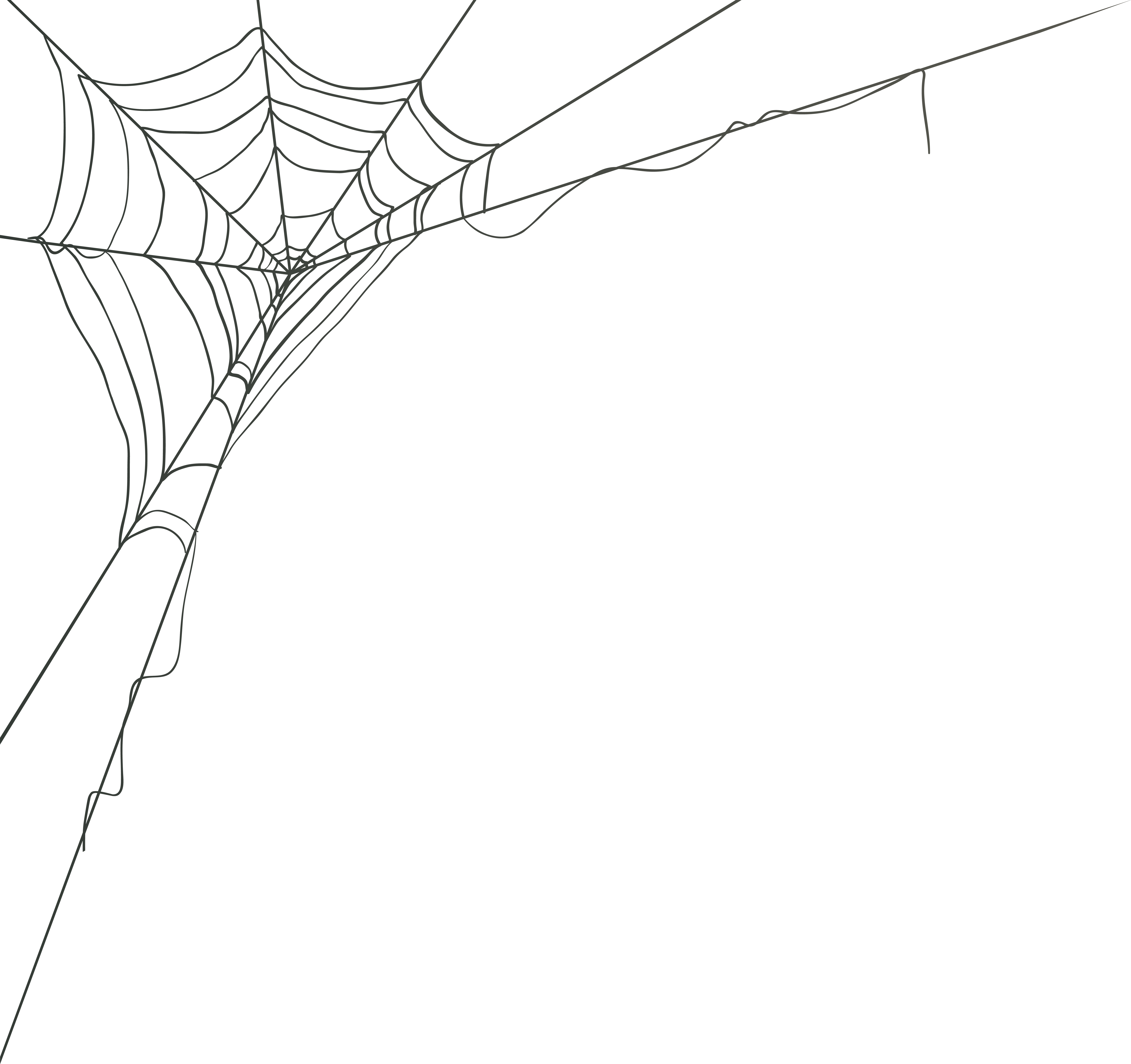 Spiderweb Png (8000x7524), Png Download