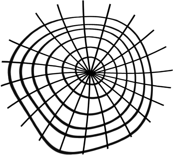Al Halloween Spider Web 2 Simran Dhaliwal Png - The Grit Guard Insert Red (900x900), Png Download
