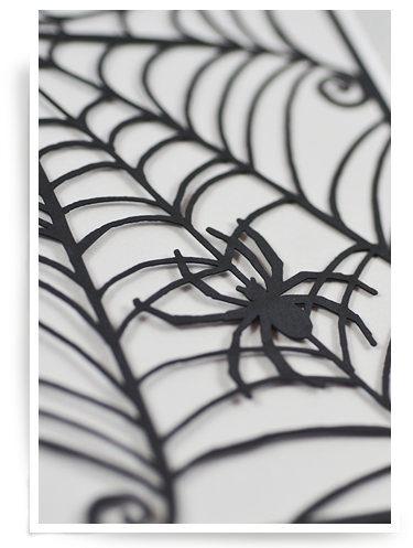 Spiderweb - Spiderweb - Spider Web (400x510), Png Download