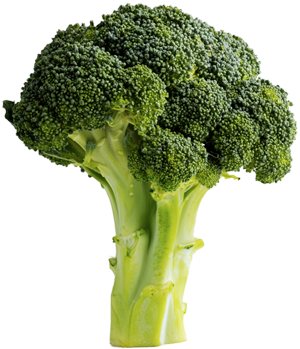Broccoli - Carbs For Muscle (445x355), Png Download