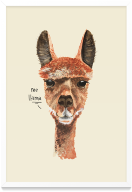 Poster Me Llama De Folk Studiona - Cushion (450x450), Png Download