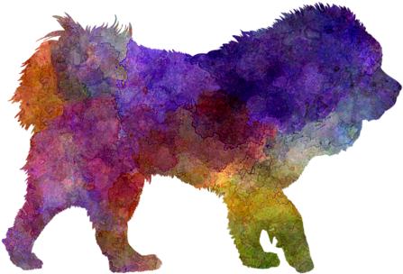 Click And Drag To Re-position The Image, If Desired - Tibetan Ma In Watercolor.png Deko Kissen (600x480), Png Download