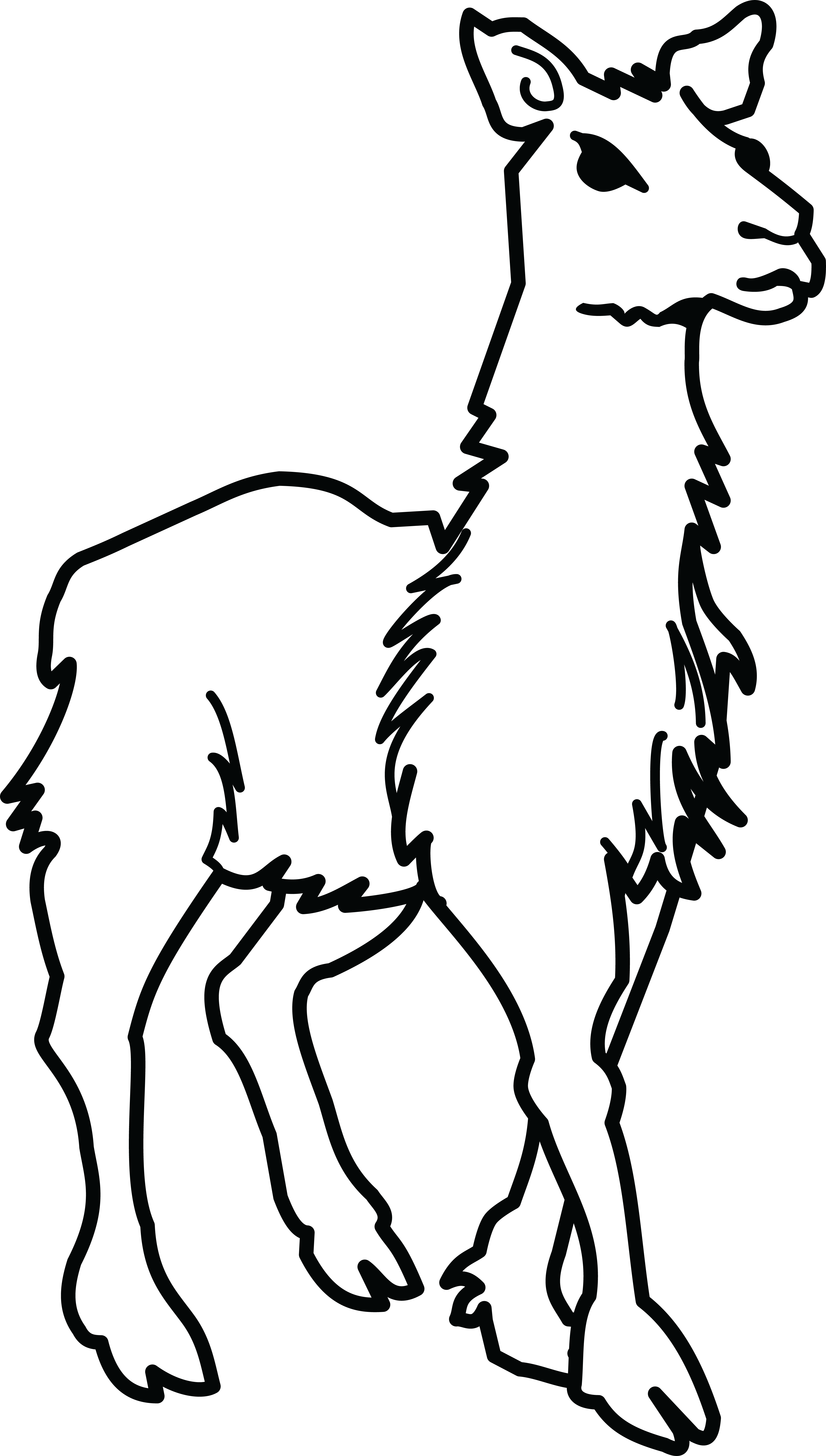 This Free Icons Png Design Of Llama Lineart - Clipart Of Llama Black And White (1426x2400), Png Download