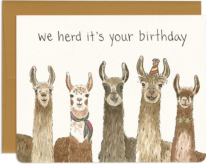 Clipart Freeuse Stock Birthday Card Greeting Cards - Llama Birthday Card (800x661), Png Download
