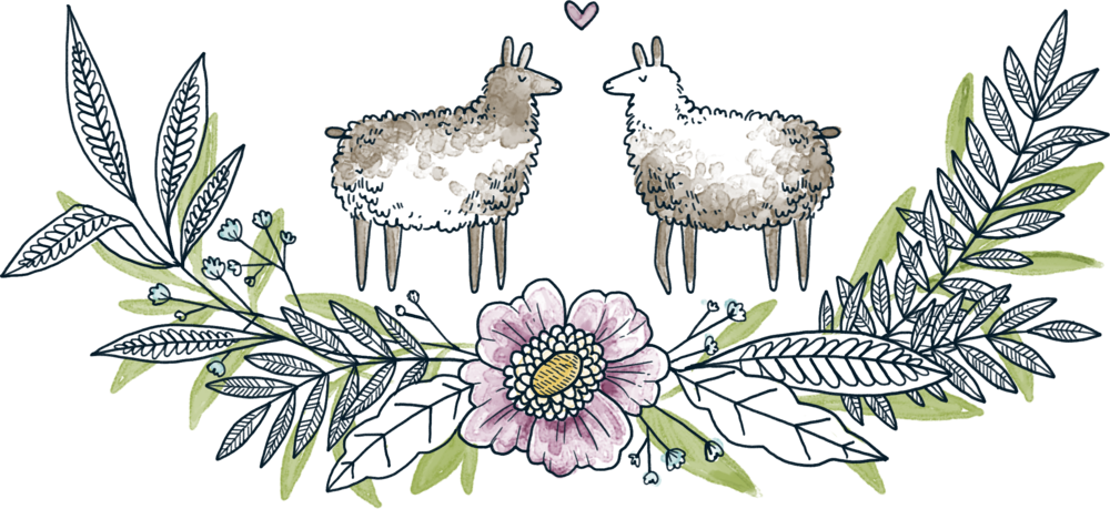 Llama Pasture - Portable Network Graphics (1000x459), Png Download