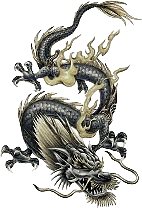 Download Chinese Dragon Tattoo Design PNG Image with No Background ...