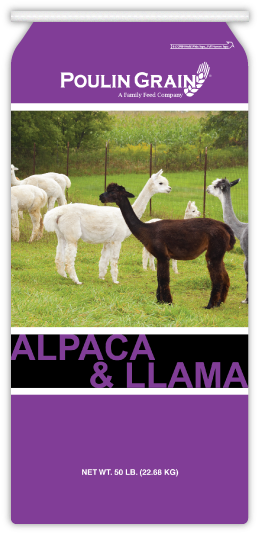 Alpaca & Llama Maintenance - Cria (278x543), Png Download
