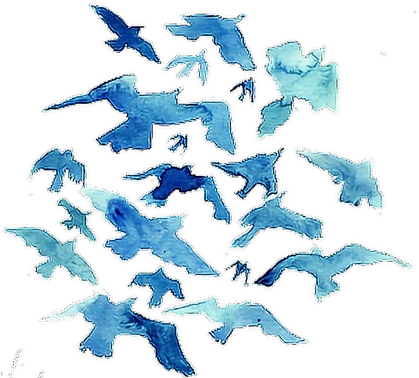 Blue Birds Png (606x558), Png Download