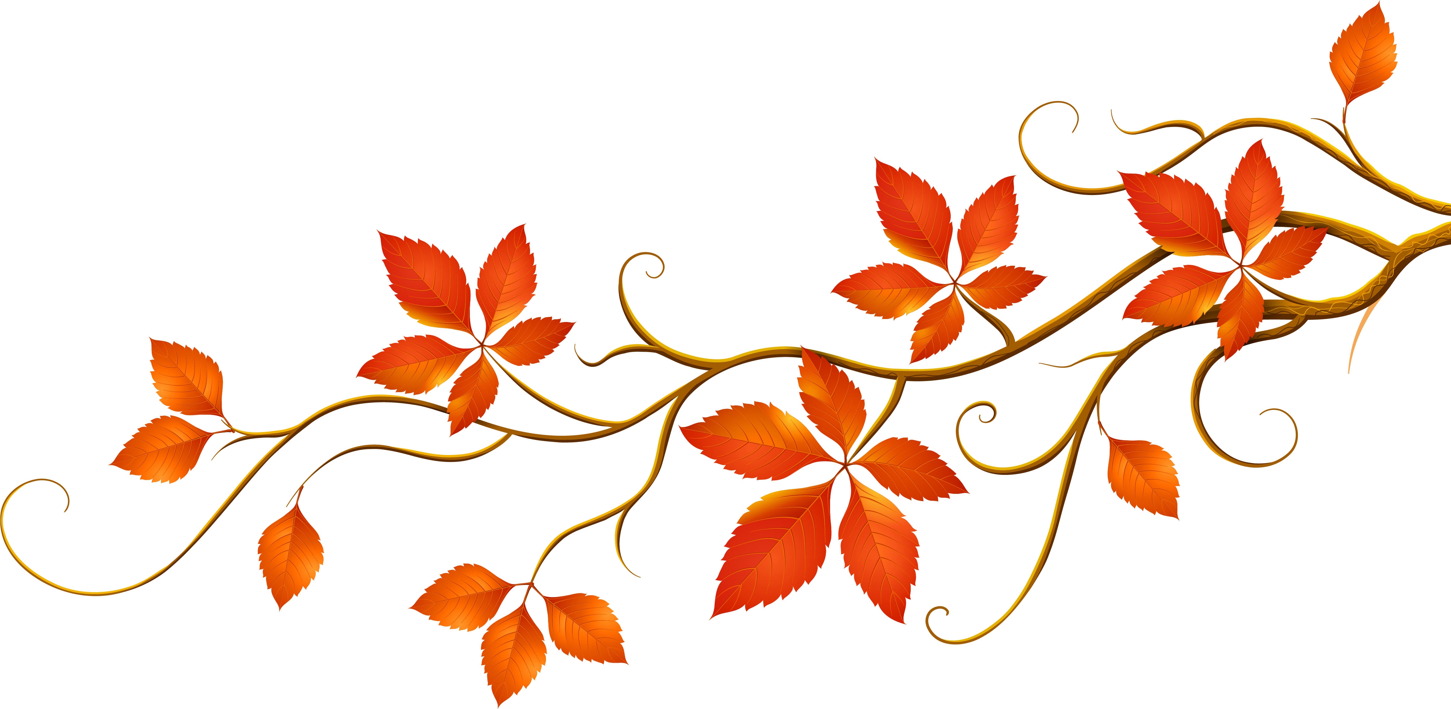 Fall Leaves Fall Autumn Free (4912x2579), Png Download