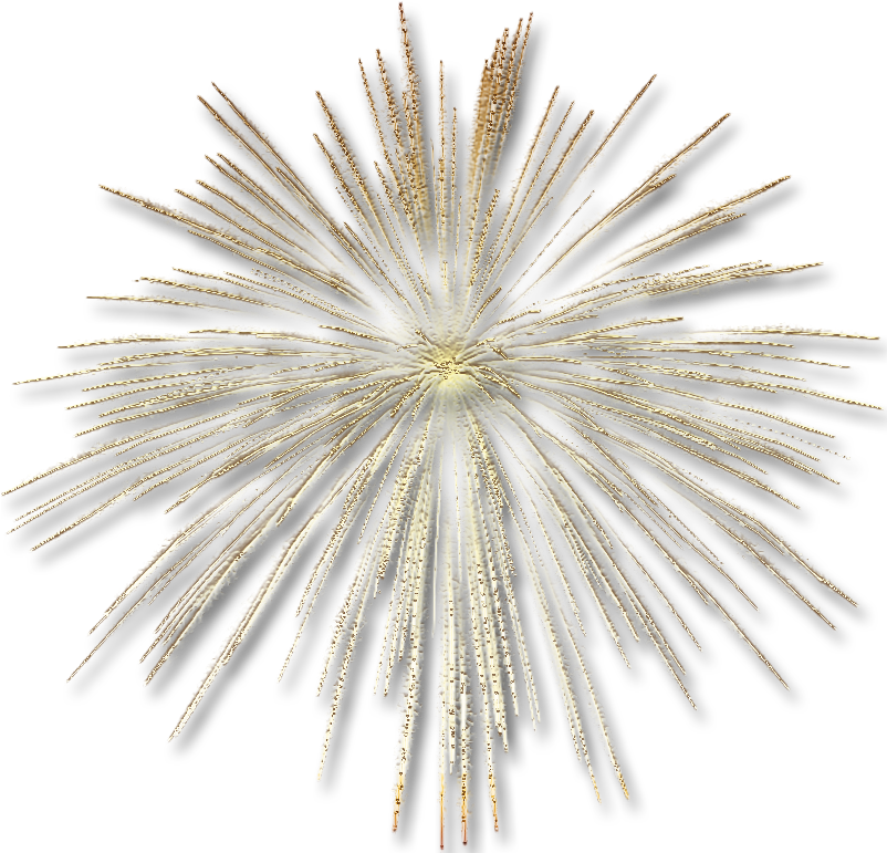Vector Freeuse Transparent Gold Fireworks Effect Gallery - White Spider Mums (815x777), Png Download